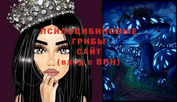 мдпв Лиски